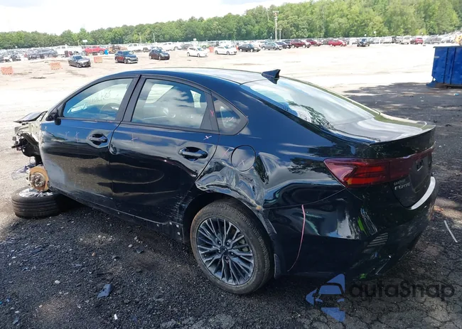 3KPF54AD2PE619396: 42515038