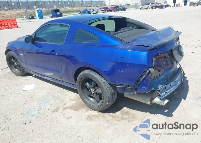 1ZVBP8CF9E5290913: 42516057