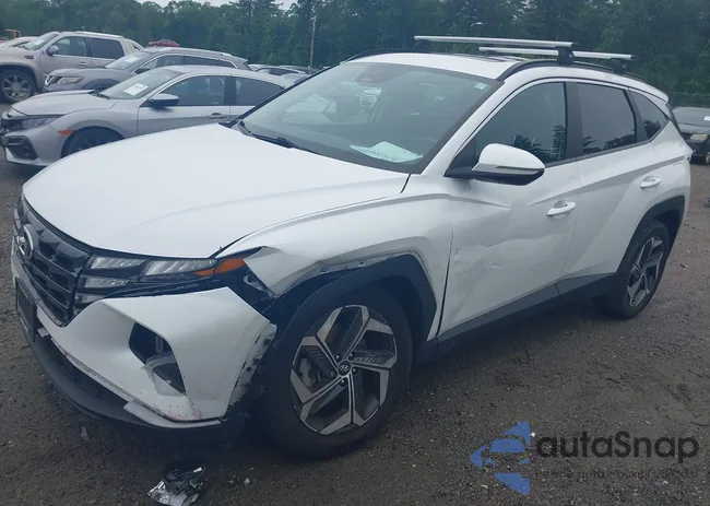 5NMJFCAE0NH051066: 42515503