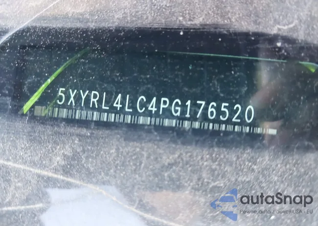 5XYRL4LC4PG176520: 42517128