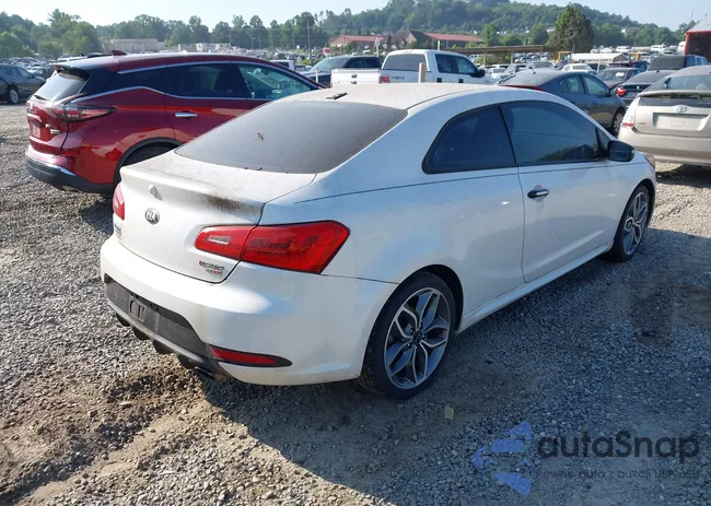 KNAFZ6A32G5618281: 42516526