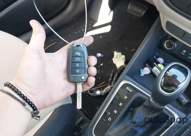 3KPC24A60NE181293: 42517919