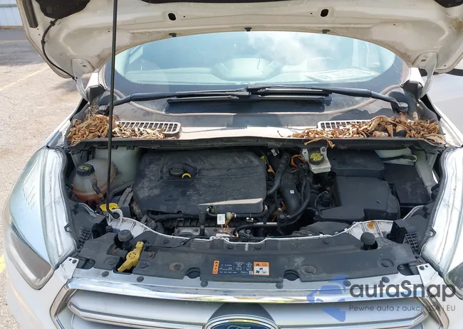 1FMCU9GD1HUD43494: 42518155