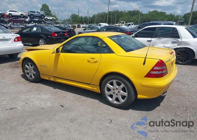 WDBKK49F63F273218: 42519798