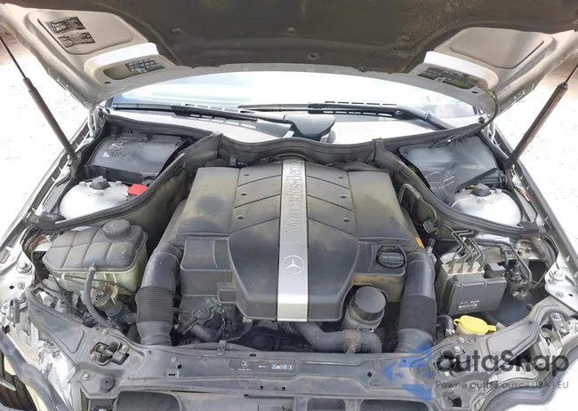 WDBRF81J94F463865: 42519899