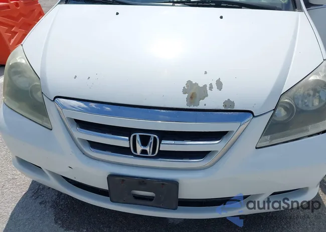 5FNRL38407B435264: 42521153