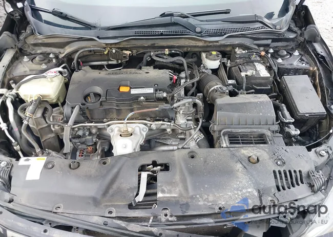 19XFC2F50GE018306: 42520219