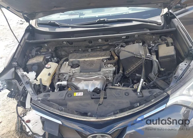 JTMZFREV1JJ178218: 42520282