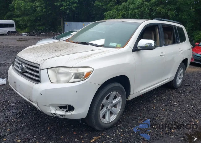 5TDBK3EH5AS011531: 42521352