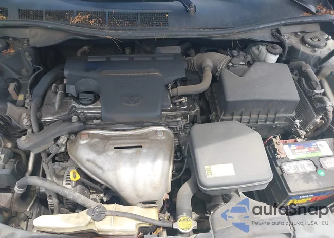 4T1BF1FKXCU066019: 42522702