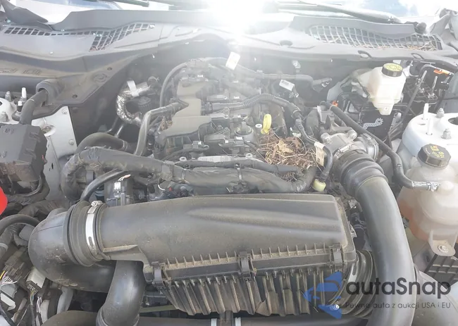 1FA6P8TH4R5118175: 42523164