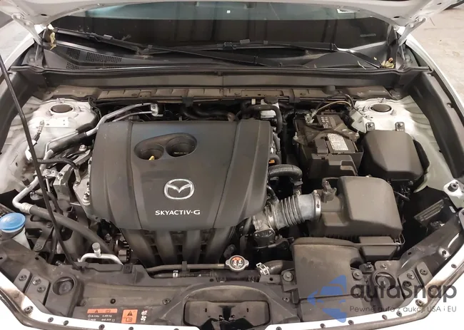 3MVDMBCL2MM210902: 42522203