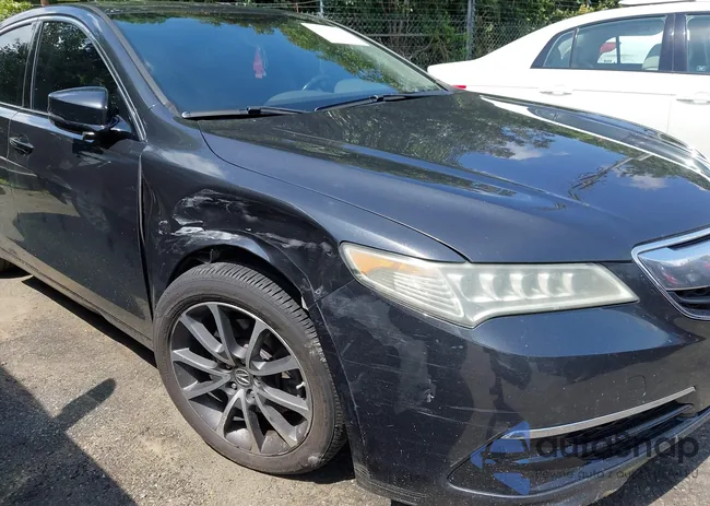 19UUB2F50GA003867: 42522426