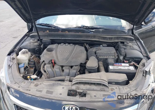 KNAGN4A75B5177066: 42523869