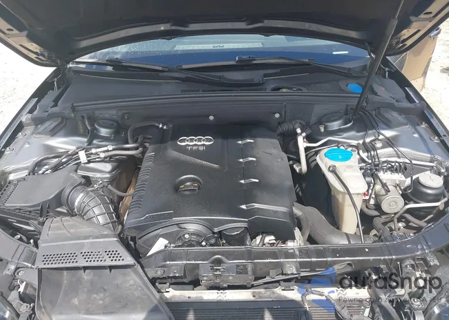 WAUEFAFL5CA117581: 42524019