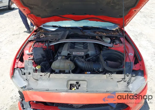 1FA6P8CF2F5368038: 42524123