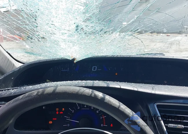 19XFB2F5XDE009871: 42524806