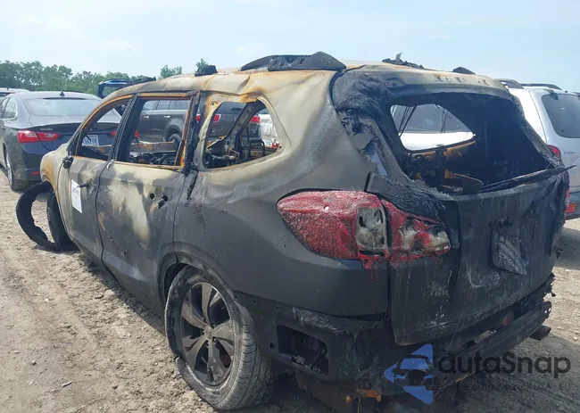 4S4WMAFD8K3409973: 42524902