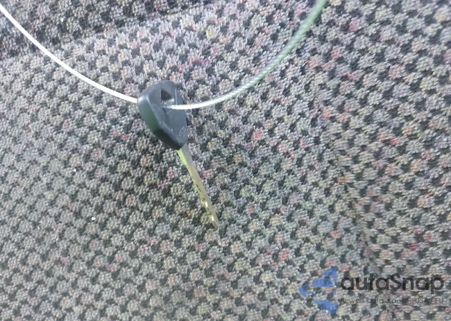 3B7HF13Z9XG142726: 42524945