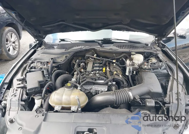 1FA6P8TH8K5132182: 42525104