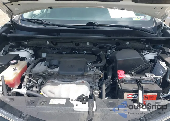 JTMWFREV3GD091205: 42525144