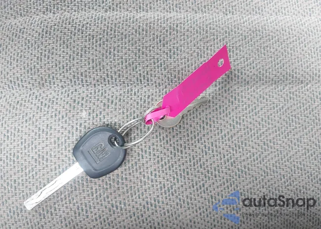 1GCWGAFP3N1199384: 42524382