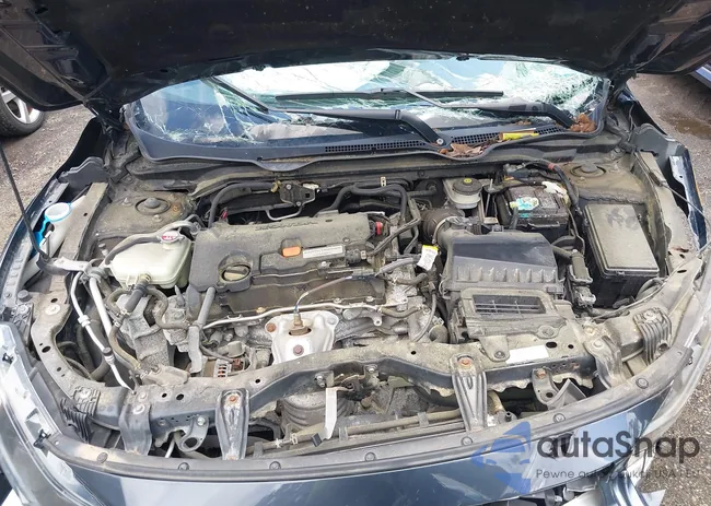 2HGFC2F61KH534309: 42526800