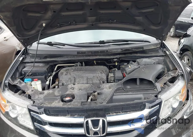 5FNRL5H60EB003428: 42527980