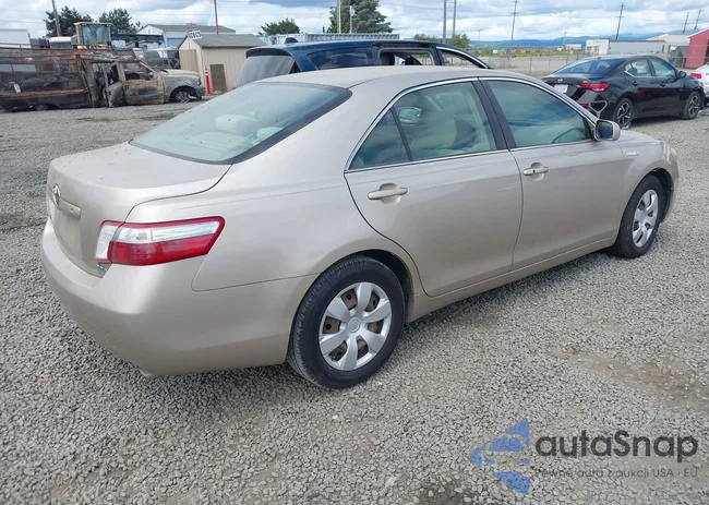 4T1BB46K38U031441: 42527506