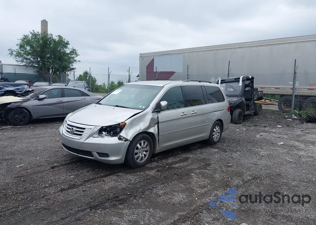 5FNRL384X8B048870: 42528721