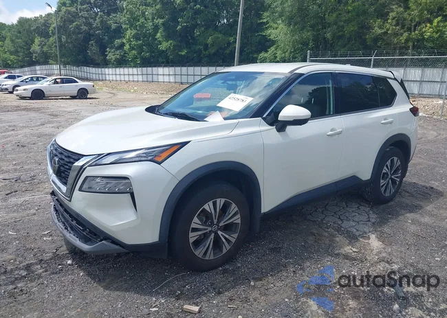 5N1AT3BA4MC695263: 42528783