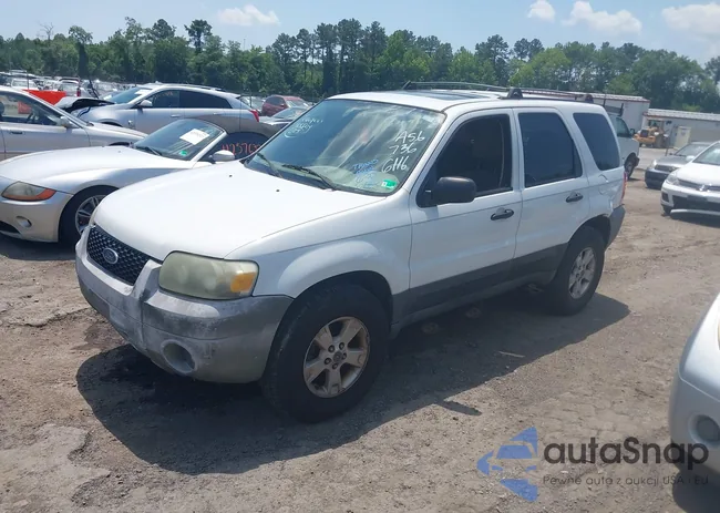 1FMYU93195KA56736: 42529028