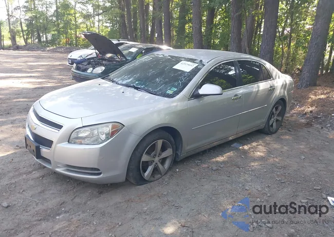 1G1ZC5E07CF302898: 42529052