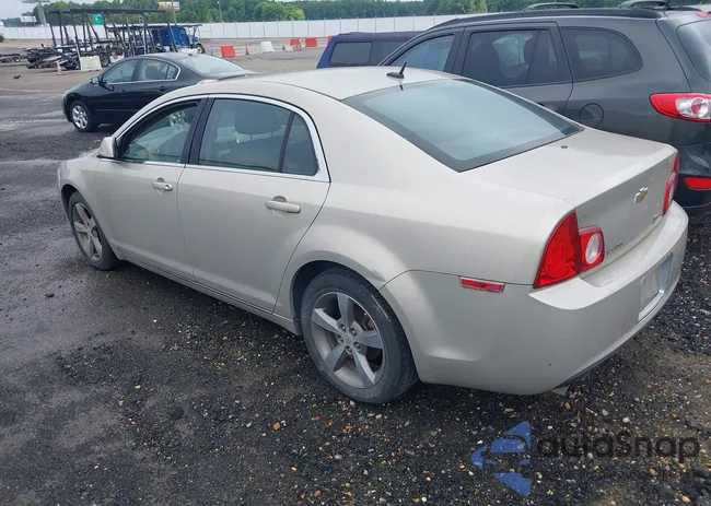 1G1ZF575X9F252555: 42528256