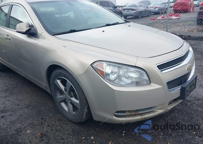 1G1ZF575X9F252555: 42528256