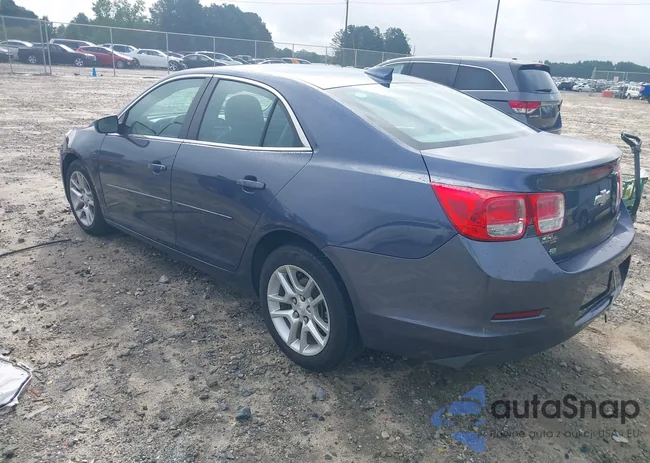 1G11C5SL7FF229631: 42528323