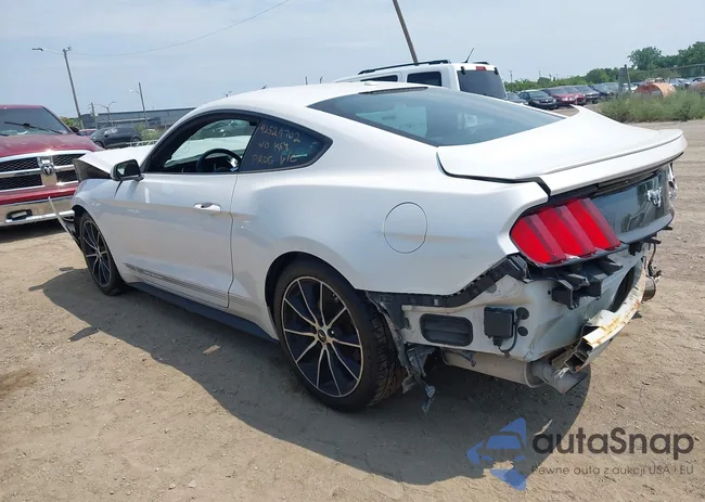 1FA6P8TH8H5249754: 42529702