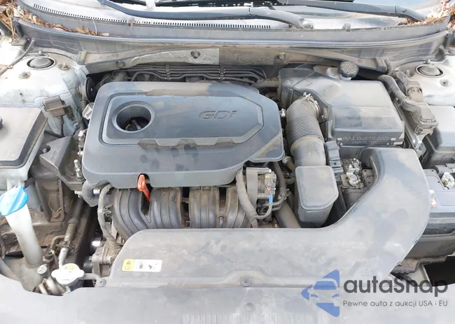 5NPE24AF6GH387760: 42529954