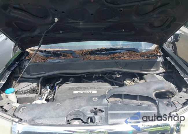 5FNYF38529B027752: 42529338