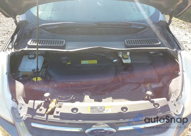 1FMCU0GX5DUD22065: 42529493