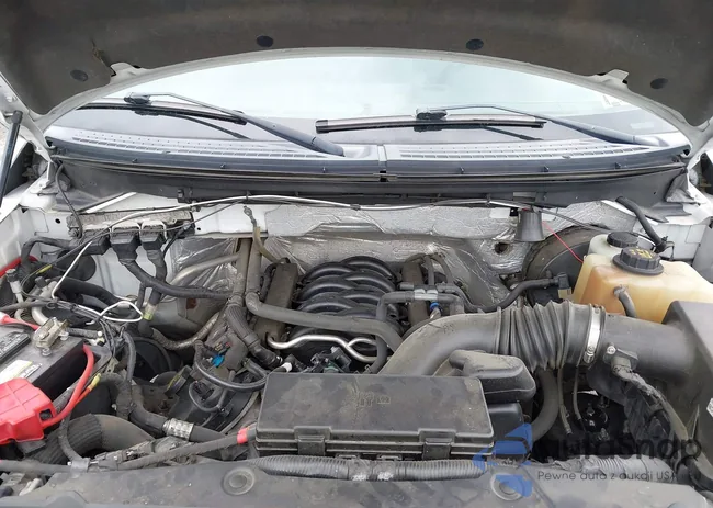 1FTMF1CF8DKE07256: 42530651