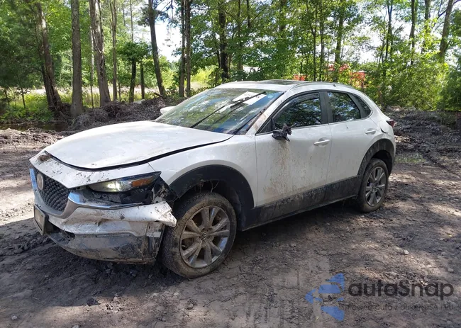 3MVDMBCL8NM439828: 42530988