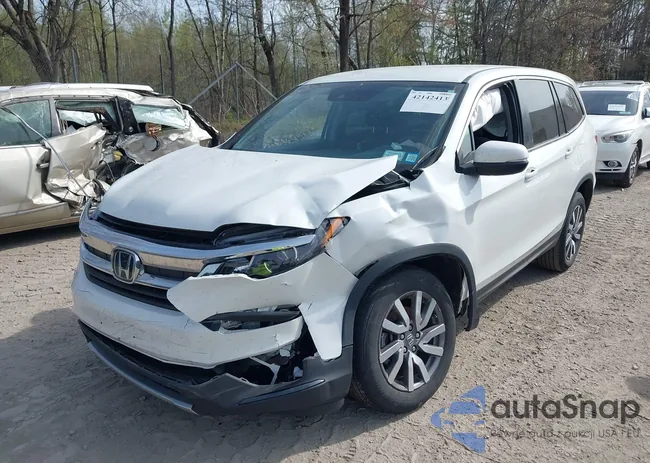 5FNYF6H39MB022413: 42531044