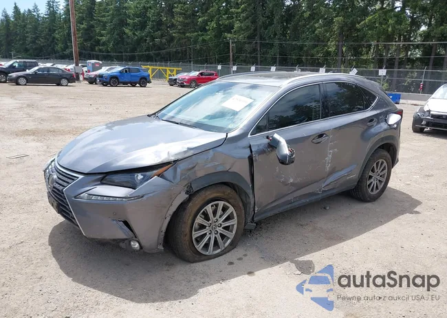 JTJBJRBZ6K2099661: 42530339