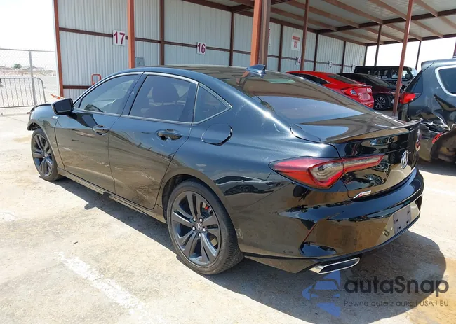 19UUB5F50MA003302: 42531664