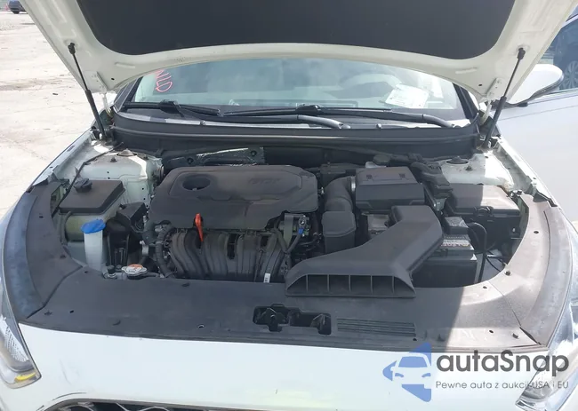 5NPE34AF1KH802974: 42531816