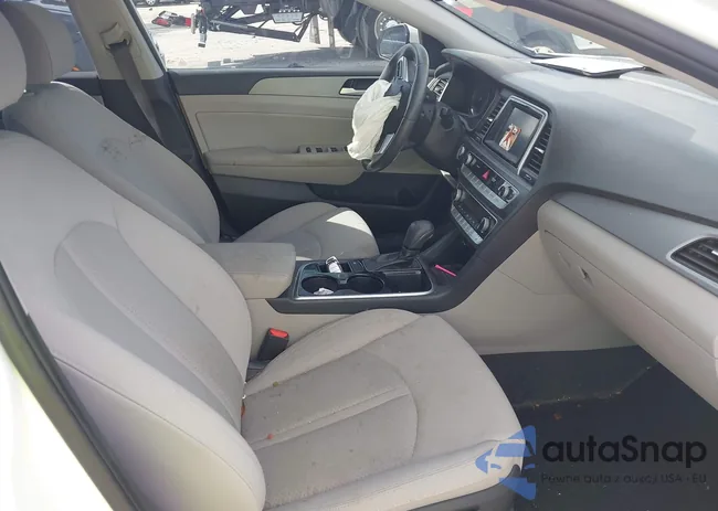 5NPE34AF1KH802974: 42531816