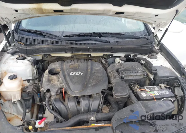 5NPEC4AC9DH802858: 42531348