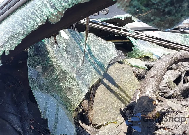 1C3CDFBB7GD516544: 42532717