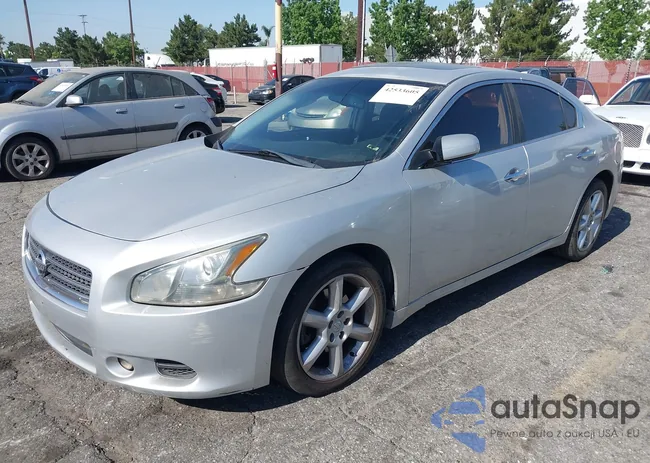 1N4AA5AP9BC843941: 42533605